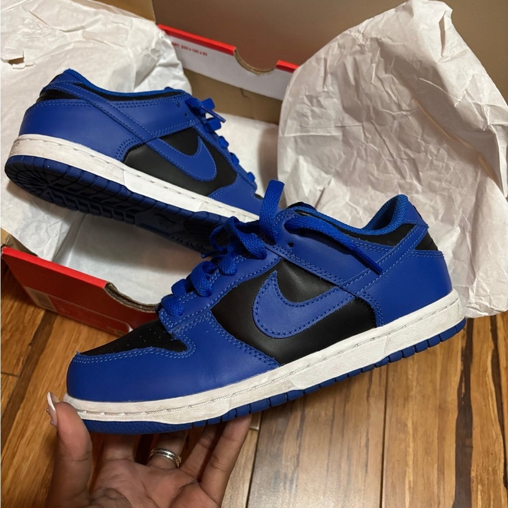 Nike Colbolt dunk